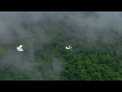 กล่องข้าวซิลิโคน